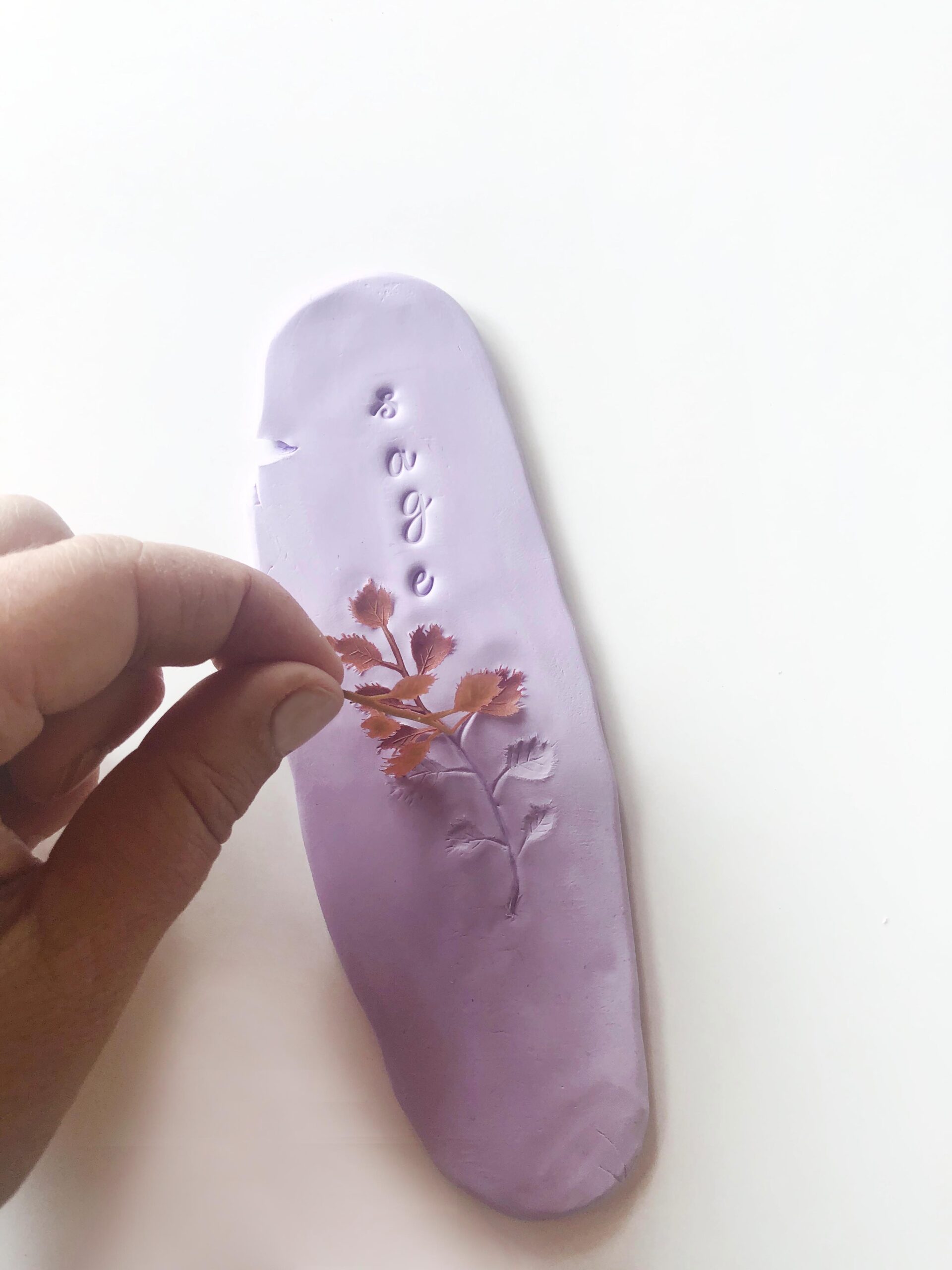 Soft clay having a leaf imprinted 