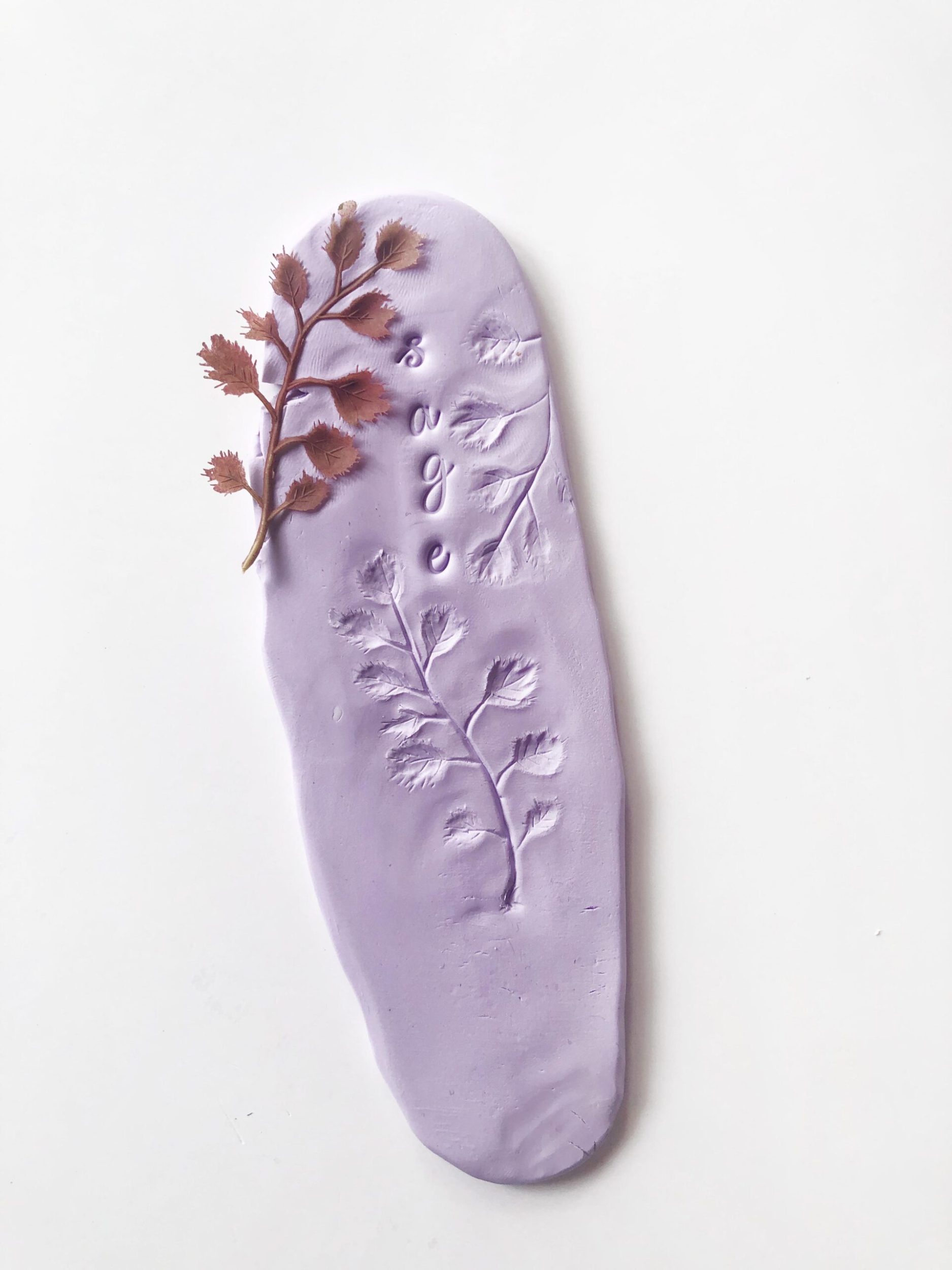 Soft clay having a leaf imprinted 
