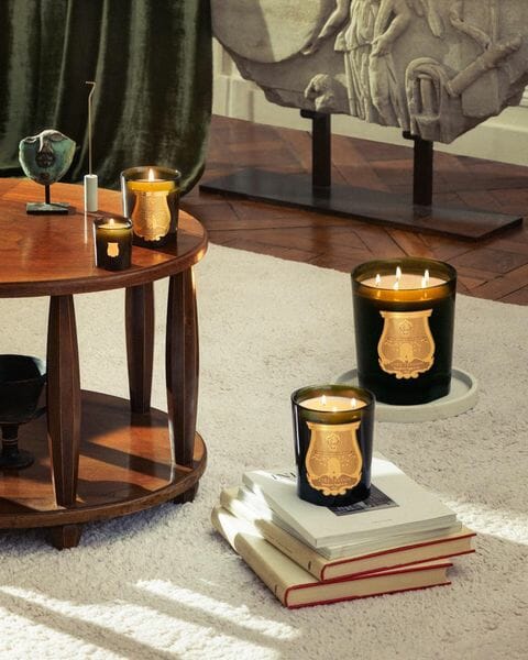 A range of the Cire Trudon candles in different sizes. 