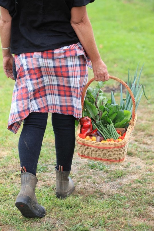 a woman carrying a basket of fresh vegetables 